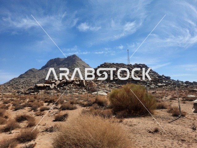 الاعشاب الجافة في المناطق الصحراوية، رحلات السفاري والأنشطة الترفيهية الممتعة في مدائن صالح، الأماكن السياحية في المناطق الصحراوية في المملكة، التشكيلات و التكوينات الصخرية في وسط صحراء السعودية، المعالم الأثرية التاريخية القديمة