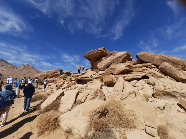 رحلات السفاري والأنشطة الترفيهية الممتعة في مدائن صالح، الأماكن السياحية في المناطق الصحراوية في المملكة، التشكيلات و التكوينات الصخرية في وسط صحراء السعودية، المعالم الأثرية التاريخية القديمة، الاعشاب الجافة في المناطق الصحراوية