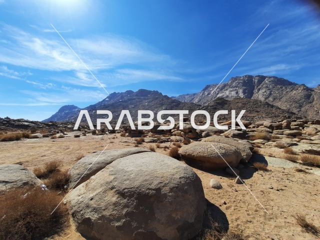 الأماكن السياحية في المناطق الصحراوية في المملكة، التشكيلات و التكوينات الصخرية في وسط صحراء السعودية، المعالم الأثرية التاريخية القديمة، رحلات السفاري والأنشطة الترفيهية الممتعة في مدائن صالح، الاعشاب الجافة في المناطق الصحراوية