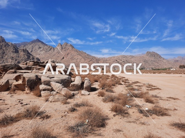 المعالم الأثرية التاريخية القديمة، التشكيلات و التكوينات الصخرية في وسط صحراء السعودية، رحلات السفاري والأنشطة الترفيهية الممتعة في مدائن صالح، الأماكن السياحية في المناطق الصحراوية في المملكة، الاعشاب الجافة في المناطق الصحراوية