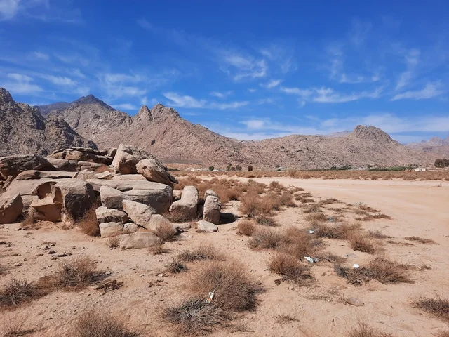 المعالم الأثرية التاريخية القديمة، التشكيلات و التكوينات الصخرية في وسط صحراء السعودية، رحلات السفاري والأنشطة الترفيهية الممتعة في مدائن صالح، الأماكن السياحية في المناطق الصحراوية في المملكة، الاعشاب الجافة في المناطق الصحراوية