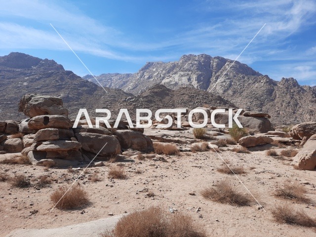 The rock formations and structures in the middle of the Saudi desert, the ancient historical archaeological sites, safari trips and fun recreational activities in Al-Ula, tourist attractions in the desert areas of the Kingdom, and the dry herbs in the desert regions.