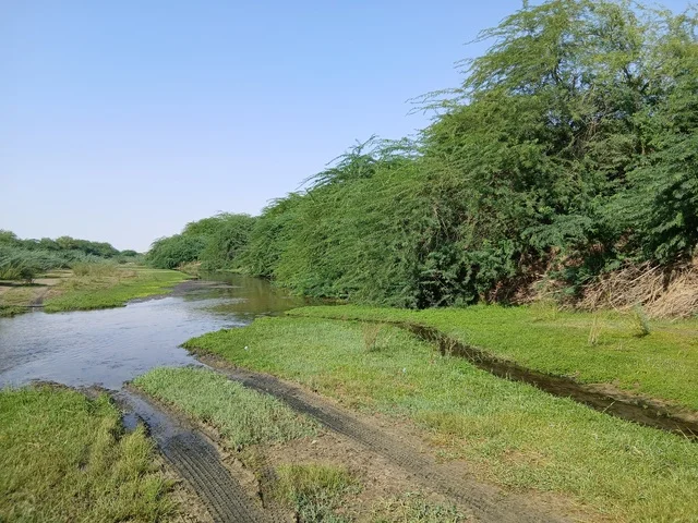 مناظر طبيعية سياحية مشهورة في المملكة العربية السعودية، مناطق للرحلات والجولات العائلية الممتعة، الأشجار والنباتات الخضراء في محافظة الباحة، الاماكن والمناطق الطبيعية