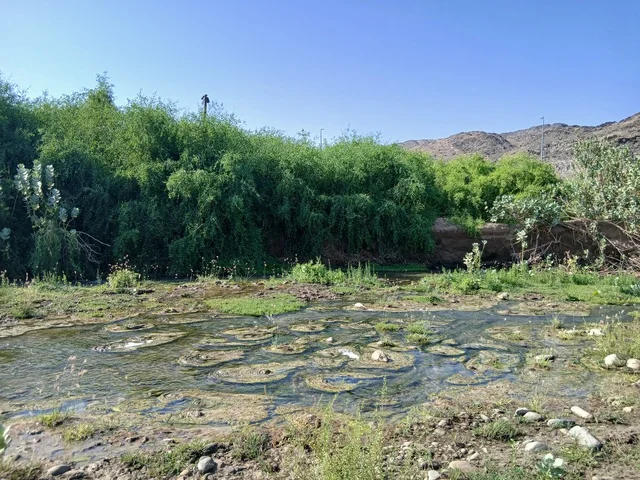 Famous tourist natural landscapes in the Kingdom of Saudi Arabia, areas for enjoyable family trips and tours, the green trees and plants in Al-Baha Province, the natural places and regions.