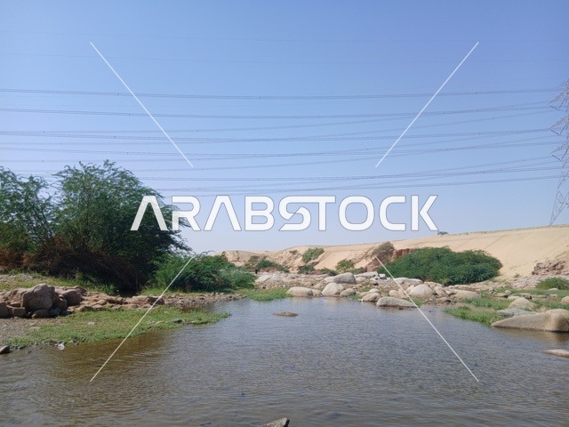 مناظر طبيعية سياحية مشهورة في المملكة العربية السعودية، مناطق للرحلات والجولات العائلية الممتعة، الأشجار والنباتات الخضراء في محافظة الباحة، الاماكن والمناطق الطبيعية