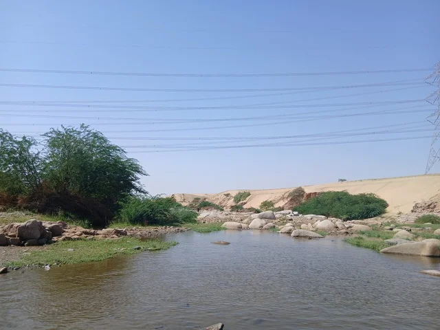 مناظر طبيعية سياحية مشهورة في المملكة العربية السعودية، مناطق للرحلات والجولات العائلية الممتعة، الأشجار والنباتات الخضراء في محافظة الباحة، الاماكن والمناطق الطبيعية