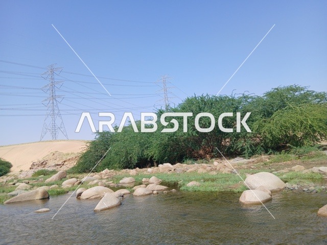مناظر طبيعية سياحية مشهورة في المملكة العربية السعودية، مناطق للرحلات والجولات العائلية الممتعة، الأشجار والنباتات الخضراء في محافظة الباحة، الاماكن والمناطق الطبيعية