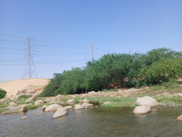مناظر طبيعية سياحية مشهورة في المملكة العربية السعودية، مناطق للرحلات والجولات العائلية الممتعة، الأشجار والنباتات الخضراء في محافظة الباحة، الاماكن والمناطق الطبيعية