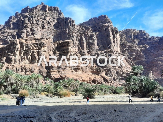 A picture of the rock formations and structures in the middle of the Saudi desert, the ancient historical archaeological sites, the herbs and plants in the desert areas, safari trips and enjoyable recreational activities, tourist attractions in the desert areas of the Kingdom.
