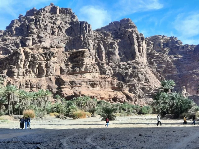 صورة للتشكيلات و التكوينات الصخرية في وسط صحراء السعودية، المناطق الأثرية التاريخية القديمة، الاعشاب والنباتات في المناطق الصحراوية، رحلات السفاري والأنشطة الترفيهية الممتعة، الأماكن السياحية في المناطق الصحراوية في المملكة