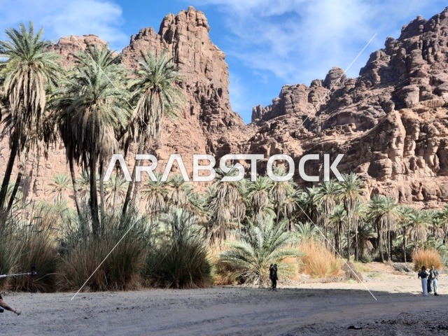 صورة للتشكيلات و التكوينات الصخرية في وسط صحراء السعودية، المناطق الأثرية التاريخية القديمة، الاعشاب والنباتات في المناطق الصحراوية، رحلات السفاري والأنشطة الترفيهية الممتعة، الأماكن السياحية في المناطق الصحراوية في المملكة