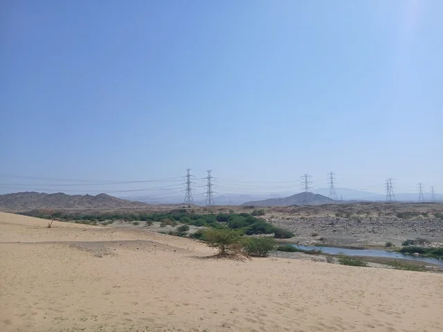 اعمدة توزيع الكهرباء ، مناطق سياحية مشهورة في المملكة العربية السعودية، مناطق للرحلات والجولات العائلية الممتعة، الأشجار والنباتات الخضراء في محافظة الباحة، الاماكن والمناطق الطبيعية