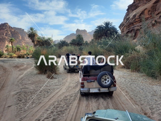 وسائل النقل في الصحراء العربية، المناطق الأثرية التاريخية القديمة، الاعشاب الجافة في المناطق الصحراوية، رحلات السفاري والأنشطة الترفيهية الممتعة، الأماكن السياحية في المناطق الصحراوية في المملكة، التشكيلات و التكوينات الصخرية في وسط صحراء السعودية