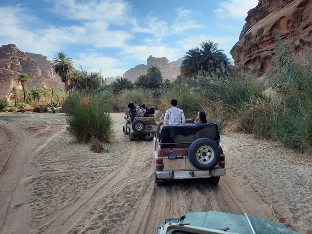 وسائل النقل في الصحراء العربية، المناطق الأثرية التاريخية القديمة، الاعشاب الجافة في المناطق الصحراوية، رحلات السفاري والأنشطة الترفيهية الممتعة، الأماكن السياحية في المناطق الصحراوية في المملكة، التشكيلات و التكوينات الصخرية في وسط صحراء السعودية