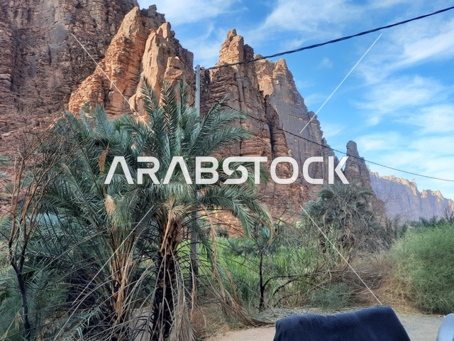 الاهتمام بزراعة أشجار النخيل في الصحراء، المناطق الأثرية التاريخية القديمة، الاعشاب الجافة في المناطق الصحراوية، رحلات السفاري والأنشطة الترفيهية الممتعة، الأماكن السياحية في المناطق الصحراوية في المملكة، التشكيلات و التكوينات الصخرية في وسط صحراء السعودية