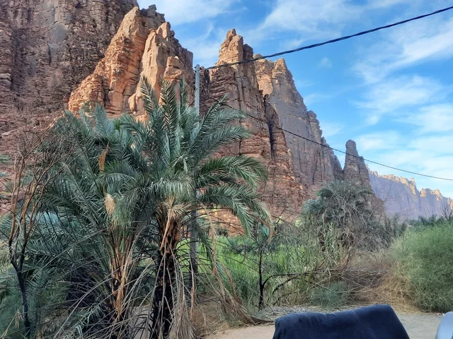 The focus on planting palm trees in the desert, ancient historical archaeological sites, dry herbs in desert areas, safari trips and enjoyable recreational activities, tourist attractions in the desert regions of the Kingdom, rock formations and structures in the heart of the Saudi desert.