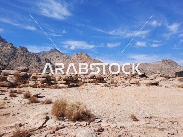 المناطق الأثرية التاريخية القديمة، الاعشاب الجافة في المناطق الصحراوية، رحلات السفاري والأنشطة الترفيهية الممتعة في مدائن صالح، الأماكن السياحية في المناطق الصحراوية في المملكة، التشكيلات و التكوينات الصخرية في وسط صحراء السعودية