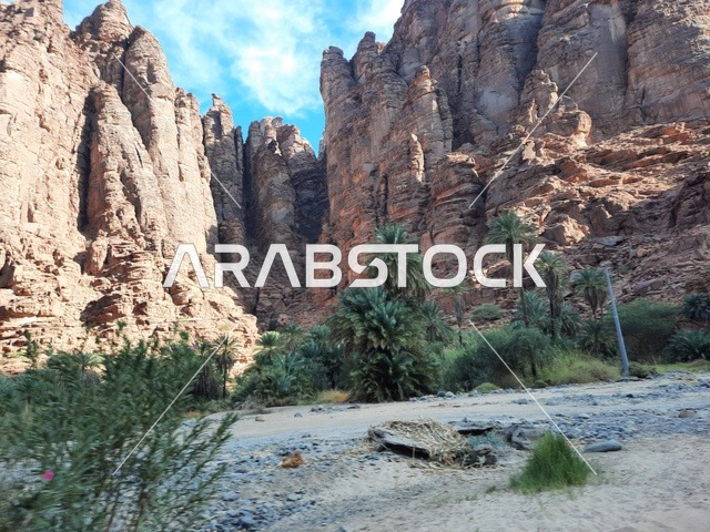 زراعة أشجار النخيل في الصحراء، المناطق الأثرية التاريخية القديمة، الاعشاب الجافة في المناطق الصحراوية، رحلات السفاري والأنشطة الترفيهية الممتعة، الأماكن السياحية في المناطق الصحراوية في المملكة، التشكيلات و التكوينات الصخرية في وسط صحراء السعودية