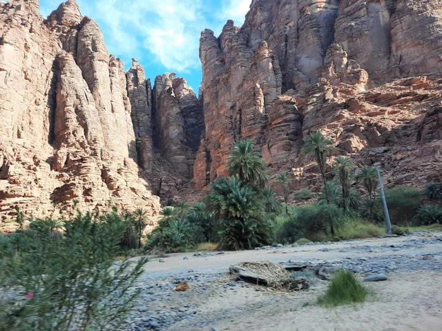 Planting palm trees in the desert, ancient historical archaeological sites, dry herbs in desert areas, safari trips and enjoyable recreational activities, tourist attractions in the desert areas of the Kingdom, rock formations and structures in the middle of the Saudi desert.