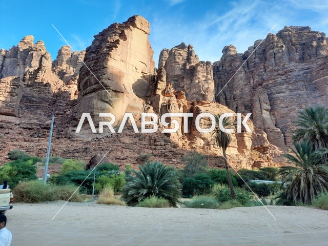 The focus on planting palm trees in the desert, ancient historical archaeological sites, dry herbs in desert areas, safari trips and enjoyable recreational activities, tourist attractions in the desert regions of the Kingdom, rock formations and structures in the heart of the Saudi desert.