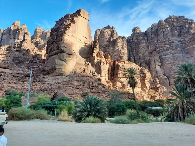 الاهتمام بزراعة أشجار النخيل في الصحراء، المناطق الأثرية التاريخية القديمة، الاعشاب الجافة في المناطق الصحراوية، رحلات السفاري والأنشطة الترفيهية الممتعة، الأماكن السياحية في المناطق الصحراوية في المملكة، التشكيلات و التكوينات الصخرية في وسط صحراء السعودية