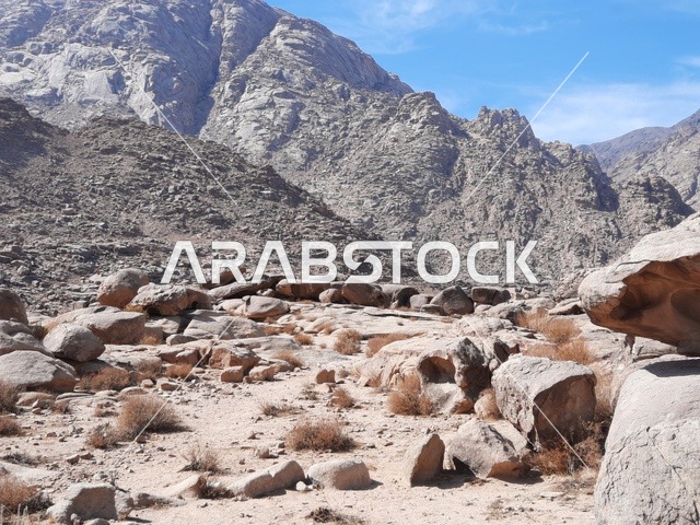 المناطق الأثرية التاريخية القديمة، الاعشاب الجافة في المناطق الصحراوية، رحلات السفاري والأنشطة الترفيهية الممتعة في مدائن صالح، الأماكن السياحية في المناطق الصحراوية في المملكة، التشكيلات و التكوينات الصخرية في وسط صحراء السعودية