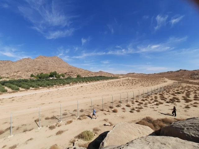 اسلاك شائكة حول المكان الاثري، رحلات السفاري والأنشطة الترفيهية الممتعة في مدائن صالح، الأماكن السياحية في المناطق الصحراوية في المملكة، التشكيلات و التكوينات الصخرية في وسط صحراء السعودية، المعالم الأثرية التاريخية القديمة، الاعشاب الجافة في المناطق الصحراوية