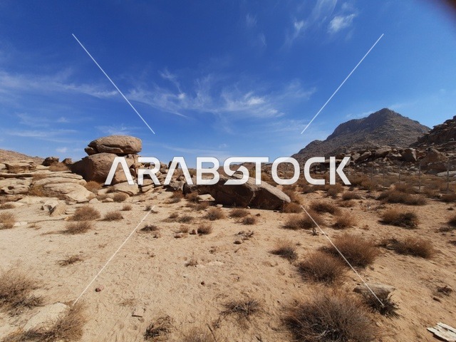 الأماكن السياحية في المناطق الصحراوية في المملكة، التشكيلات و التكوينات الصخرية في وسط صحراء السعودية، المعالم الأثرية التاريخية القديمة، رحلات السفاري والأنشطة الترفيهية الممتعة في مدائن صالح، الاعشاب الجافة في المناطق الصحراوية
