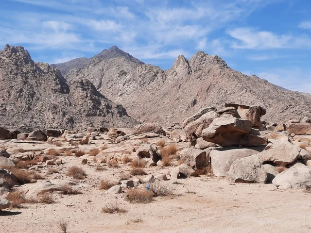 The rock formations and structures in the middle of the Saudi desert, the ancient historical archaeological sites, safari trips and fun recreational activities in Al-Ula, tourist attractions in the desert areas of the Kingdom, and the dry herbs in the desert regions.