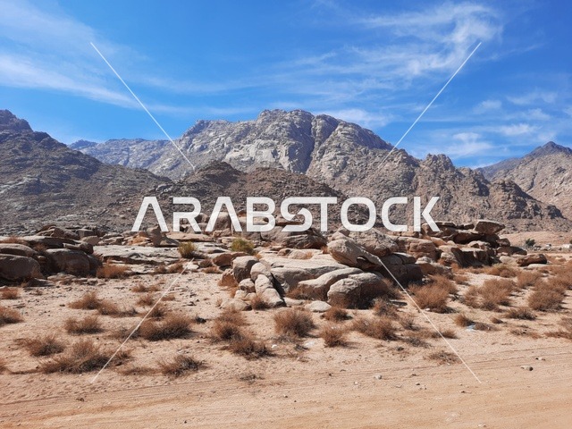 المعالم الأثرية التاريخية القديمة، التشكيلات و التكوينات الصخرية في وسط صحراء السعودية، رحلات السفاري والأنشطة الترفيهية الممتعة في مدائن صالح، الأماكن السياحية في المناطق الصحراوية في المملكة، الاعشاب الجافة في المناطق الصحراوية