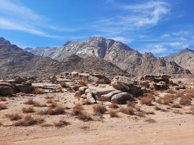 Ancient historical archaeological sites, rock formations and structures in the middle of the Saudi desert, safari trips and fun recreational activities in Al-Ula, tourist attractions in the desert areas of the Kingdom, dry herbs in the desert regions.