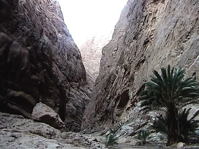 Wadi Al-Disa in the Tabuk region during the day, the land of palm trees and springs, a famous tourist place and area, the natural mountainous terrain in the Kingdom of Saudi Arabia, the growth of wild and thorny plants, the formations and rock structures on the mountainous valleys in historical archaeological sites.