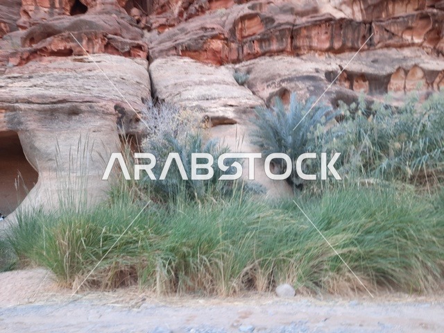 التكوينات والتشكيلات الصخرية في وسط صحراء السعودية، المناطق الأثرية التاريخية القديمة، الاعشاب والنباتات في المناطق الصحراوية، رحلات السفاري والأنشطة الترفيهية الممتعة، الأماكن السياحية في المناطق الصحراوية في المملكة