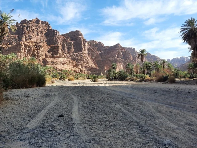 التكوينات والتشكيلات الصخرية في وسط صحراء السعودية، المناطق الأثرية التاريخية القديمة، الاعشاب والنباتات في المناطق الصحراوية، رحلات السفاري والأنشطة الترفيهية الممتعة، الأماكن السياحية في المناطق الصحراوية في المملكة