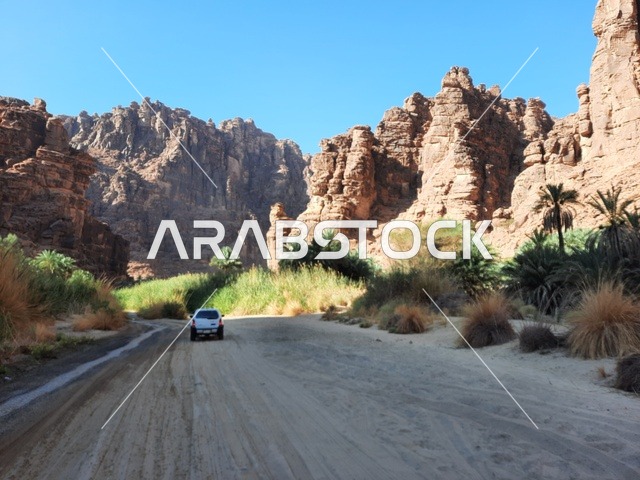 سيارة صحاروية تسير على الرمال، للتشكيلات و التكوينات الصخرية في وسط صحراء السعودية، المناطق الأثرية التاريخية القديمة، الاعشاب الجافة في المناطق الصحراوية، رحلات السفاري والأنشطة الترفيهية الممتعة، الأماكن السياحية في المناطق الصحراوية في المملكة