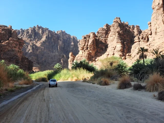 سيارة صحاروية تسير على الرمال، للتشكيلات و التكوينات الصخرية في وسط صحراء السعودية، المناطق الأثرية التاريخية القديمة، الاعشاب الجافة في المناطق الصحراوية، رحلات السفاري والأنشطة الترفيهية الممتعة، الأماكن السياحية في المناطق الصحراوية في المملكة