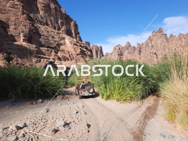 سيارة صحاروية تسير على الرمال، للتشكيلات و التكوينات الصخرية في وسط صحراء السعودية، المناطق الأثرية التاريخية القديمة، الاعشاب الجافة في المناطق الصحراوية، رحلات السفاري والأنشطة الترفيهية الممتعة، الأماكن السياحية في المناطق الصحراوية في المملكة