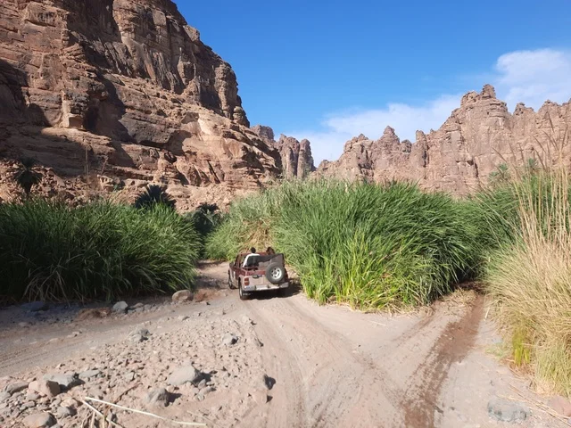 A desert vehicle driving on the sand, for the rock formations and structures in the middle of the Saudi desert, the ancient historical archaeological sites, the dry grasses in the desert areas, safari trips and enjoyable recreational activities, tourist attractions in the desert areas of the Kingdom.