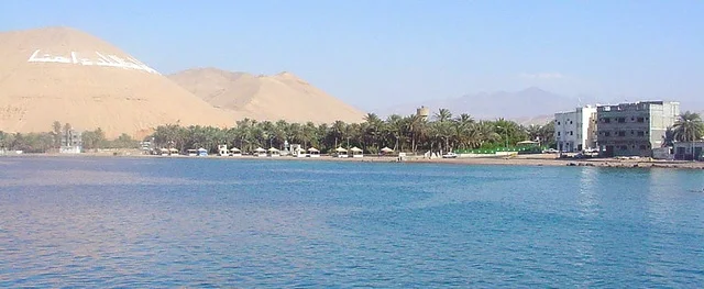 The palm garden overlooking the Gulf of Aqaba in the Tabuk region, family recreational natural areas and places on the Red Sea coast, the cultivation of palm trees and green plants in tourist cities, the beach shores and waterfront in the city of Yanbu in the Kingdom of Saudi Arabia.