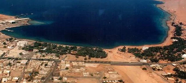 الأشجار والنباتات الخضراء، ساحل البحر الاحمر في تبوك شمال المملكة العربية السعودية ، الأماكن السكنية والمنازل ، شاطئ النخيل على ساحل خليج العقبة، مناطق سياحية لقضاء وقت ممتع