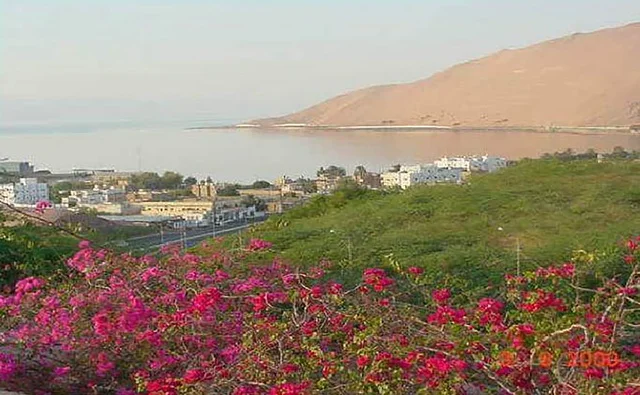مناطق وأماكن طبيعية عائليه ترفيهيه على ساحل البحر الاحمر، الحديقة العامة المطلة على خليج العقبة في نطقة تبوك، زراعة أشجار النخيل والنباتات الخضراء في المدن السياحية, السواحل الشاطئية والواجهة البحرية في مدينة ينبع في المملكة العربية السعودية