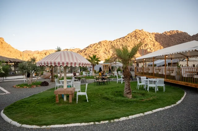 منطقة جلوس خارجية في مقهى بقرية عقدة، طابع ريفي وسط الجبال وأشجار النخيل، نسيم الجبال البارد، تجربة تجمع بين الراحة والهدوء والطبيعة في أحد مواقع ومعالم السياحة فى مدينة حائل بالمملكة العربية السعودية