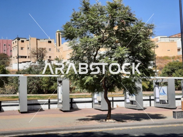 الاهتمام بالأشجار والنباتات الطبيعية الخضراء في الحديقة، نقطة إلتقاء الفنانين وعشاق الفن، الطرق والشوارع المتميزة، جذب واستقطاب السياح من كافة انحاء العالم،شارع الفن في مدينة أبها في منطقة عسير، منتزه سياحي مشهور في المملكة العربية السعودية