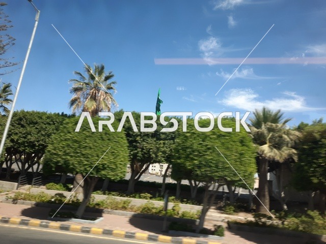 الاهتمام بالأشجار والنباتات الطبيعية الخضراء في الحديقة، نقطة إلتقاء الفنانين وعشاق الفن، الطرق والشوارع المتميزة، جذب واستقطاب السياح من كافة انحاء العالم،شارع الفن في مدينة أبها في منطقة عسير، منتزه سياحي مشهور في المملكة العربية السعودية