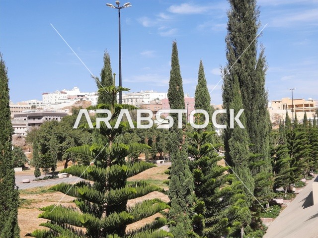 الاهتمام بالأشجار والنباتات الطبيعية الخضراء في الحديقة، نقطة إلتقاء الفنانين وعشاق الفن، الطرق والشوارع المتميزة، جذب واستقطاب السياح من كافة انحاء العالم،شارع الفن في مدينة أبها في منطقة عسير، منتزه سياحي مشهور في المملكة العربية السعودية