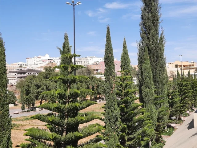 الاهتمام بالأشجار والنباتات الطبيعية الخضراء في الحديقة، نقطة إلتقاء الفنانين وعشاق الفن، الطرق والشوارع المتميزة، جذب واستقطاب السياح من كافة انحاء العالم،شارع الفن في مدينة أبها في منطقة عسير، منتزه سياحي مشهور في المملكة العربية السعودية