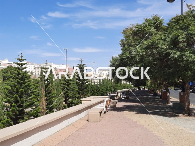A famous tourist park in the Kingdom of Saudi Arabia, Art Street in the city of Abha in the Asir region, focusing on the trees and natural green plants in the garden, a meeting point for artists and art lovers, distinguished roads and streets, attracting and drawing tourists from all over the world.