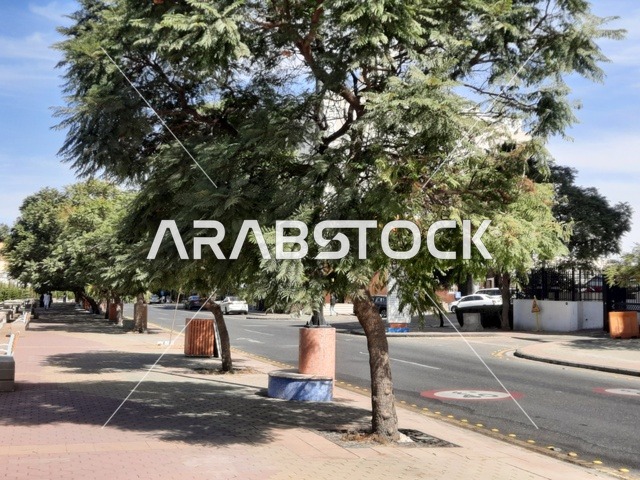 نقطة إلتقاء الفنانين وعشاق الفن، شارع الفن في مدينة أبها في منطقة عسير، الاهتمام بالأشجار والنباتات الطبيعية الخضراء في الحديقة،الطرق والشوارع المتميزة، جذب واستقطاب السياح من كافة انحاء العالم، منتزه سياحي مشهور في المملكة العربية السعودية