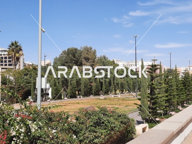 نقطة إلتقاء الفنانين وعشاق الفن، شارع الفن في مدينة أبها في منطقة عسير، الاهتمام بالأشجار والنباتات الطبيعية الخضراء في الحديقة،الطرق والشوارع المتميزة، جذب واستقطاب السياح من كافة انحاء العالم، منتزه سياحي مشهور في المملكة العربية السعودية