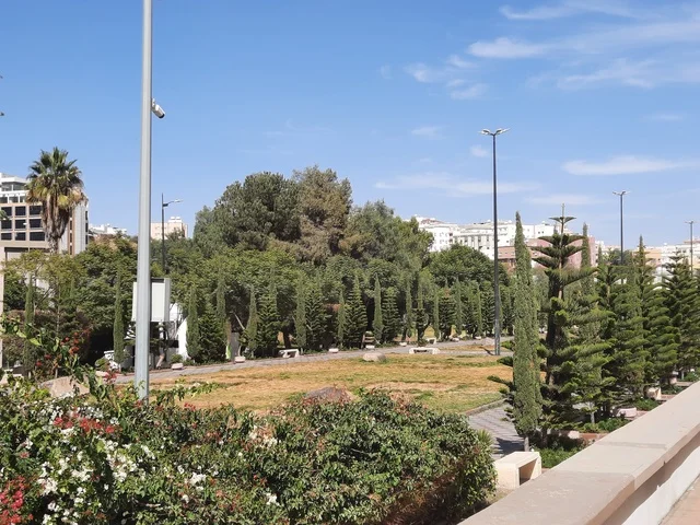 نقطة إلتقاء الفنانين وعشاق الفن، شارع الفن في مدينة أبها في منطقة عسير، الاهتمام بالأشجار والنباتات الطبيعية الخضراء في الحديقة،الطرق والشوارع المتميزة، جذب واستقطاب السياح من كافة انحاء العالم، منتزه سياحي مشهور في المملكة العربية السعودية